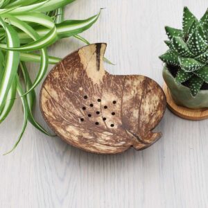 coconut soap dish