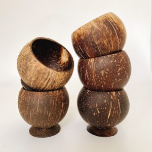 coconut shell cup