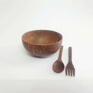 coconut shell bowl